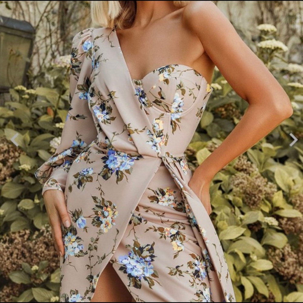 Beautiful Lavish Alice Brand Dress